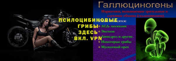 первитин Горняк