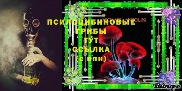 первитин Горняк