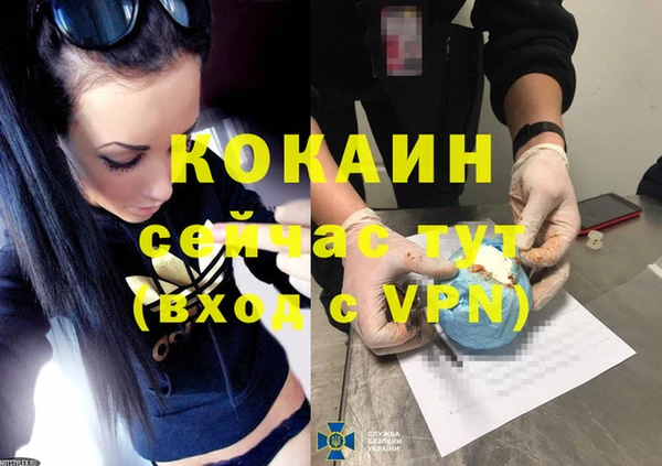 первитин Горняк